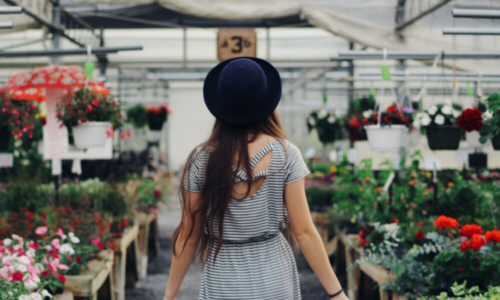 alternative succulent buying venues - Woman Walking Between Display of Flowers and Plants