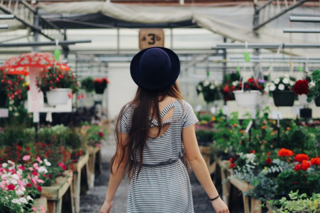 alternative succulent buying venues - Woman Walking Between Display of Flowers and Plants