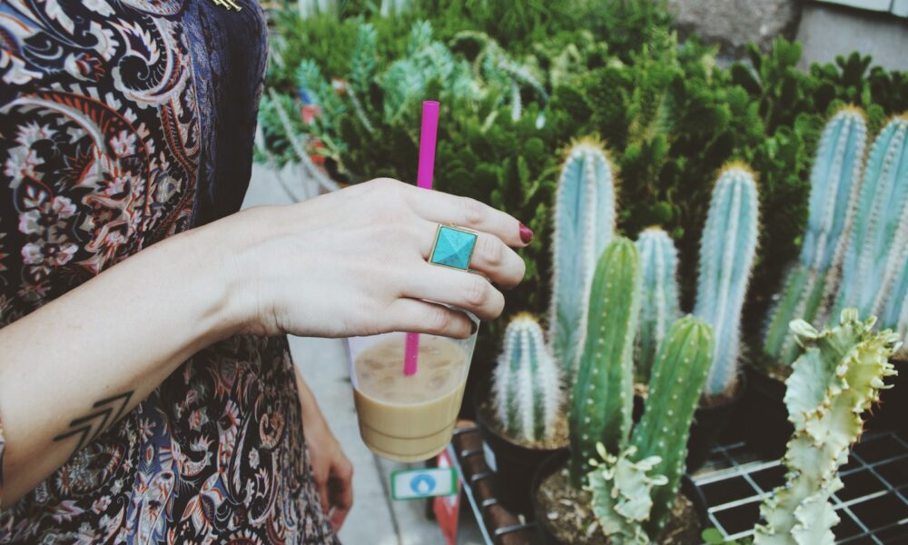 cacti cloning - person holding disposable cup in front of cactus plants