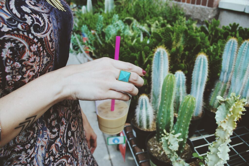 cacti cloning - person holding disposable cup in front of cactus plants