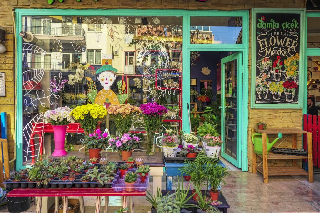 commercial succulent trade - Colorful Flowers in a Flower Shop