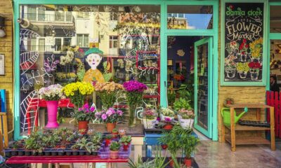 commercial succulent trade - Colorful Flowers in a Flower Shop