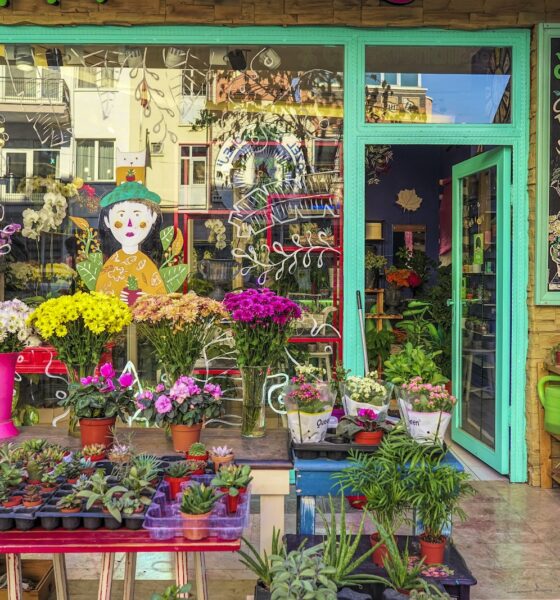 commercial succulent trade - Colorful Flowers in a Flower Shop