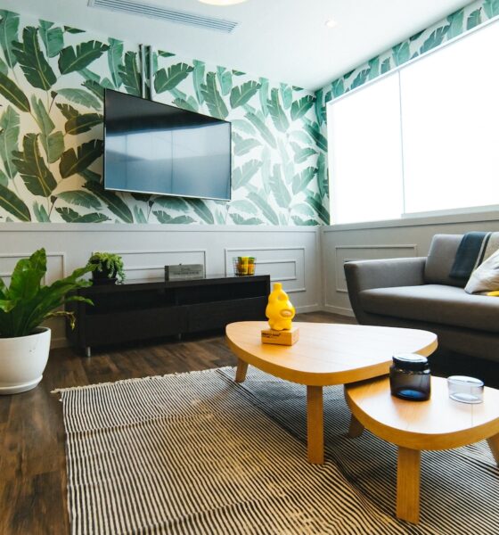 decor ideas using rare succulents - photo of flat screen television