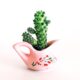 gifting succulents - pink ceramic pot with cactus