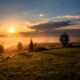 guarding against intense sun exposure - trees under cloudy sky during sunset