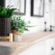 indoor succulents - a potted plant sitting on top of a wooden shelf