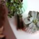 indoor succulents - selective focus photography of green blooming succulent plant