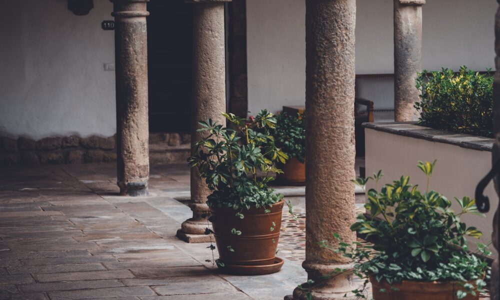 landscaping with succulents - four concrete pillar