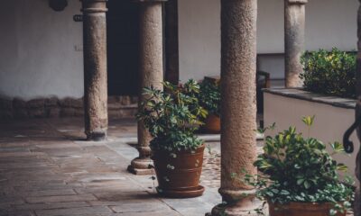 landscaping with succulents - four concrete pillar