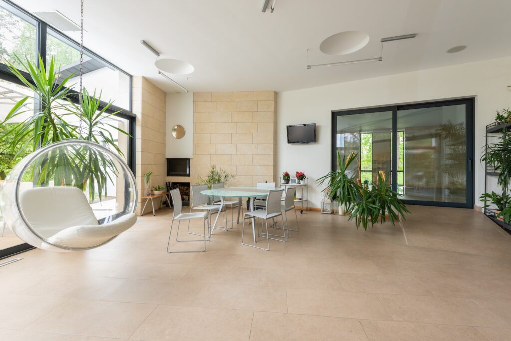 large succulents in home entrances - Interior of spacious apartment with bubble chair and green plants