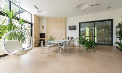 large succulents in home entrances - Interior of spacious apartment with bubble chair and green plants