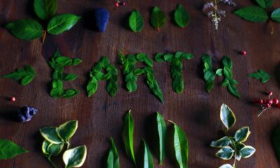 leaf propagation for succulents - leaves on table