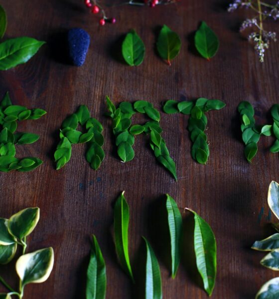 leaf propagation for succulents - leaves on table