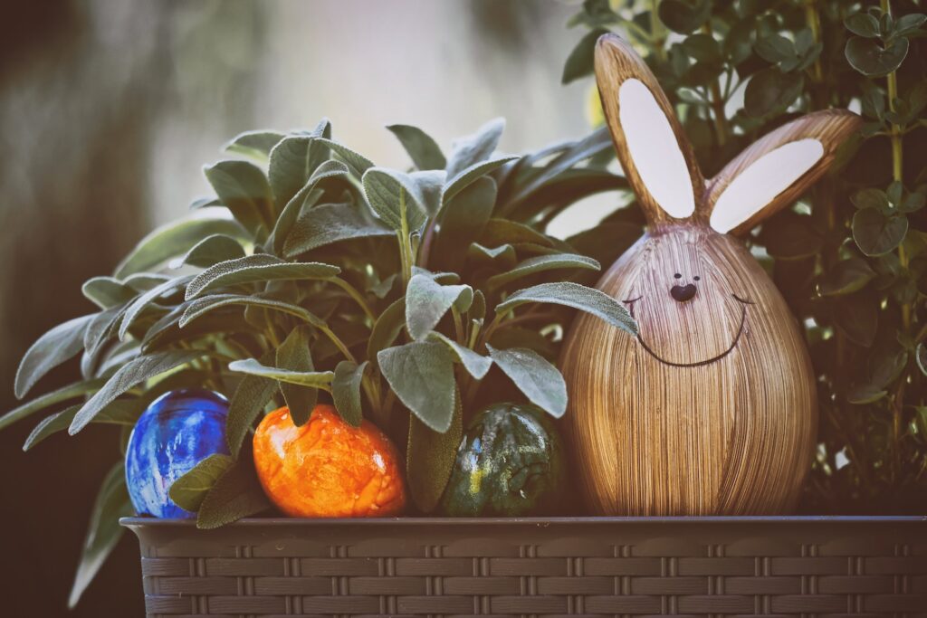 odd looking succulents - Easter Decorations in Plant Pot