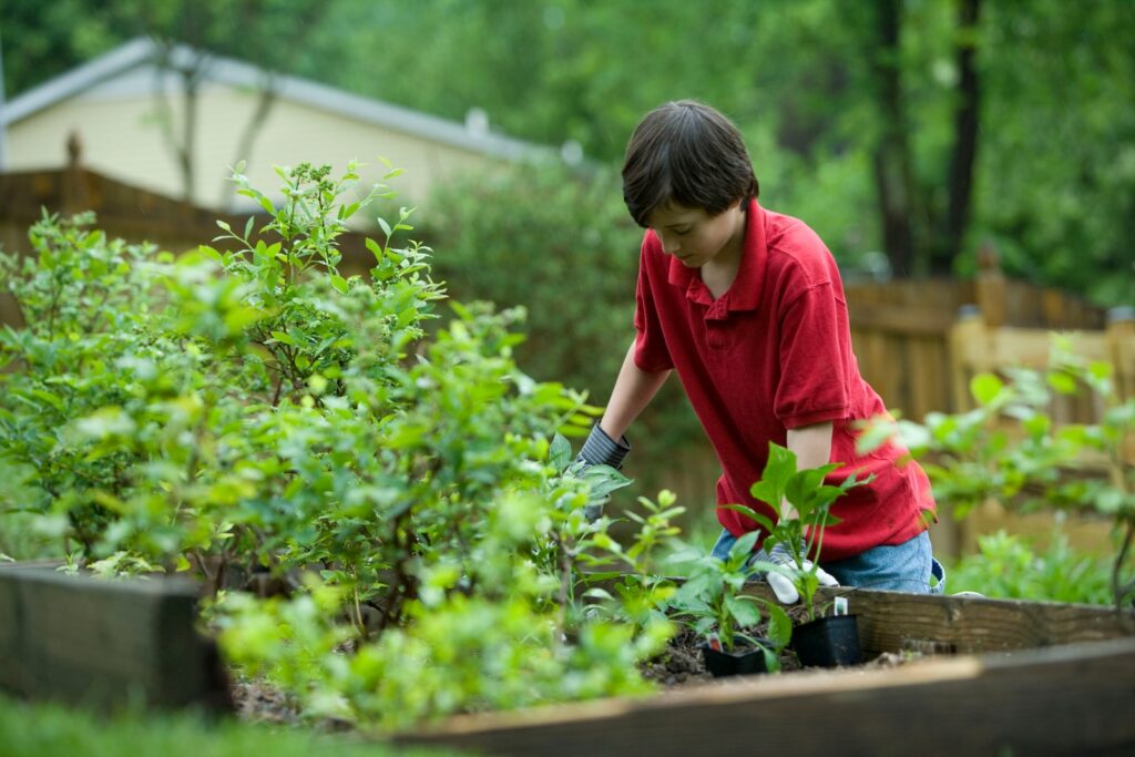 pest control solutions for succulents - boy in red crew neck t-shirt and blue denim jeans sitting on brown wooden bench