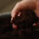 ph level of soil - a person holding a handful of dirt in their hand