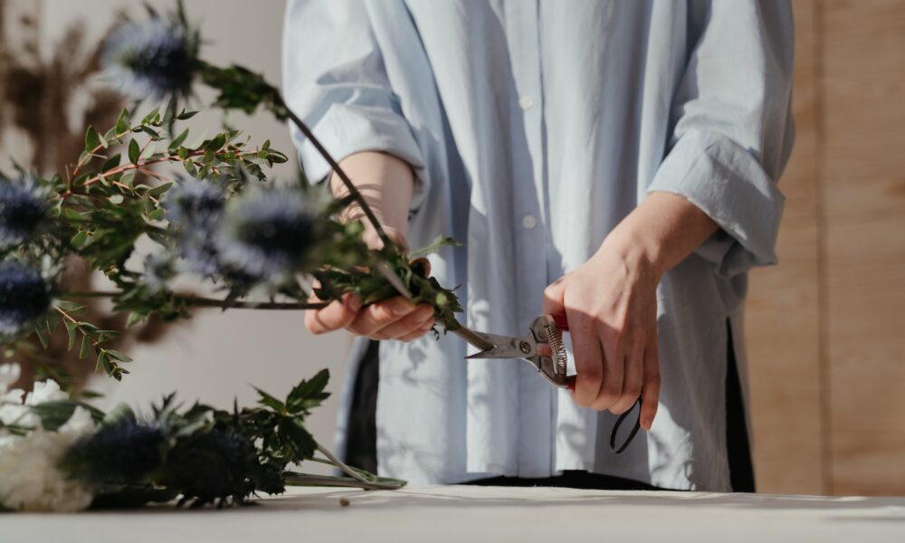 pruning - Person in White Long Sleeve Shirt Holding Green Plant