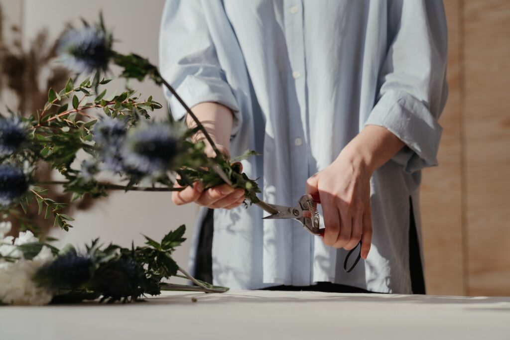 pruning - Person in White Long Sleeve Shirt Holding Green Plant