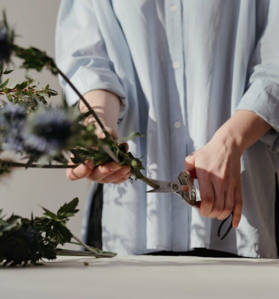 pruning - Person in White Long Sleeve Shirt Holding Green Plant