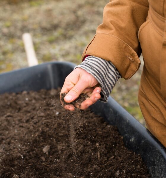 Soil Secrets - person in yellow jacket holding black soil