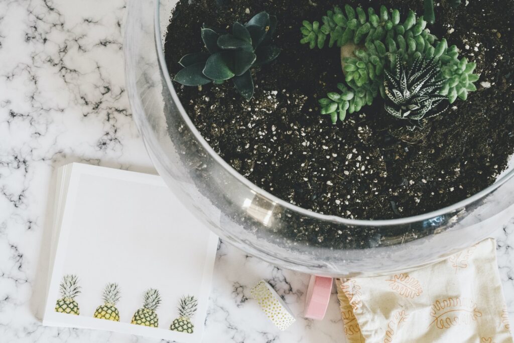 succulent accessories - green succulents on clear glass pot