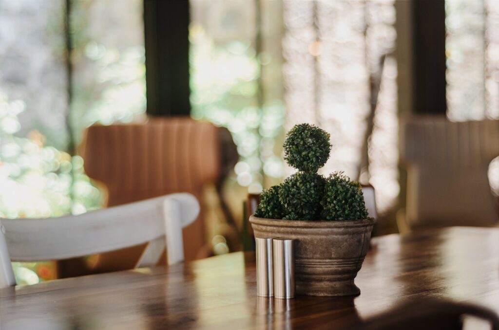 succulent barn-style decor - Green Cactus Plant on Table