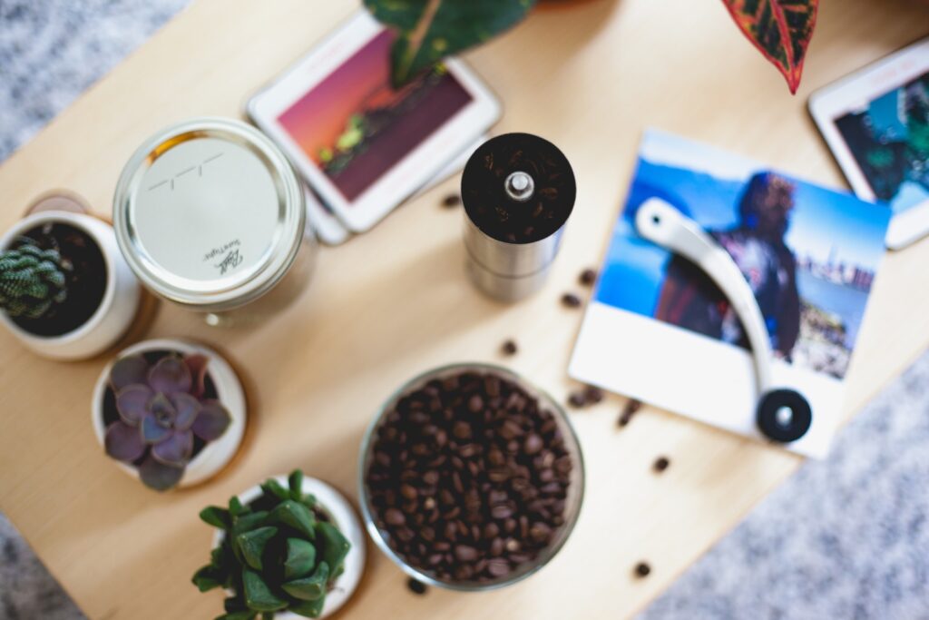 succulent propagation - flatlay photography of green succulent plants