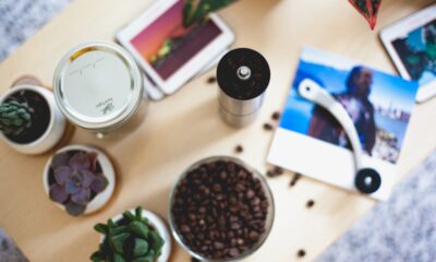 succulent propagation - flatlay photography of green succulent plants