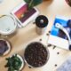 succulent propagation - flatlay photography of green succulent plants