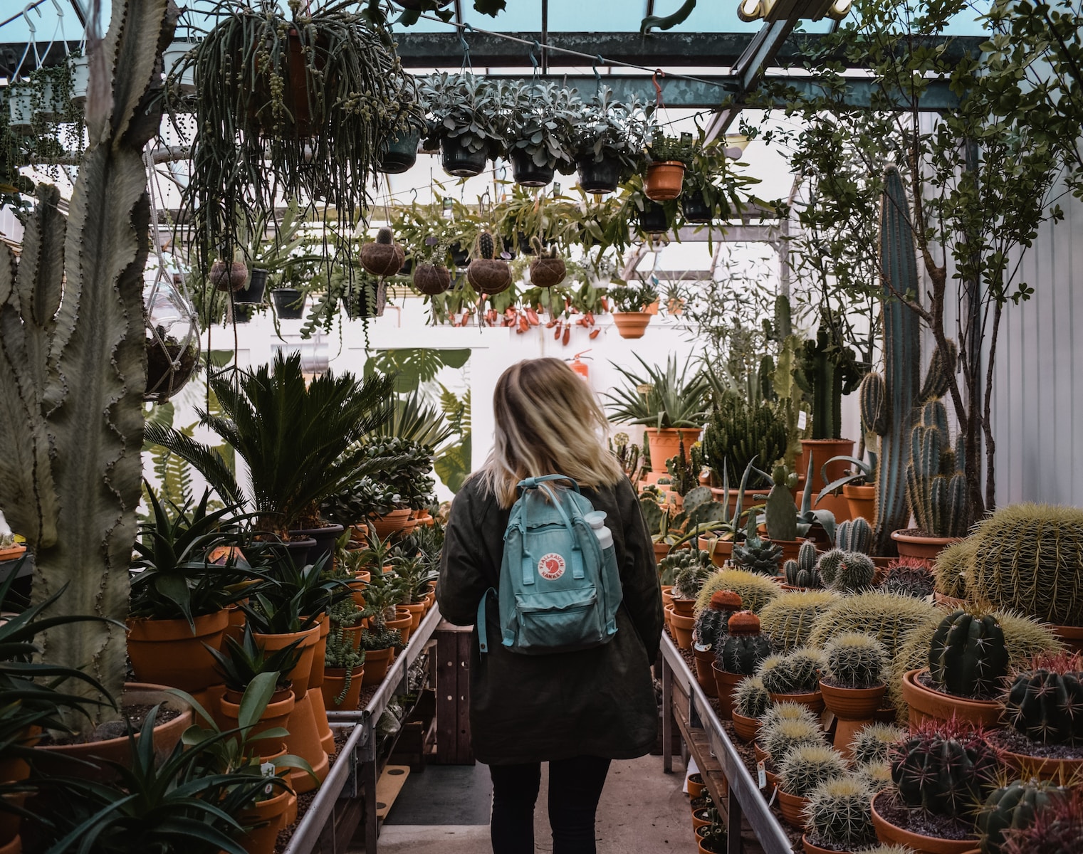 succulent retailers - woman standing inside plant shop during daytime