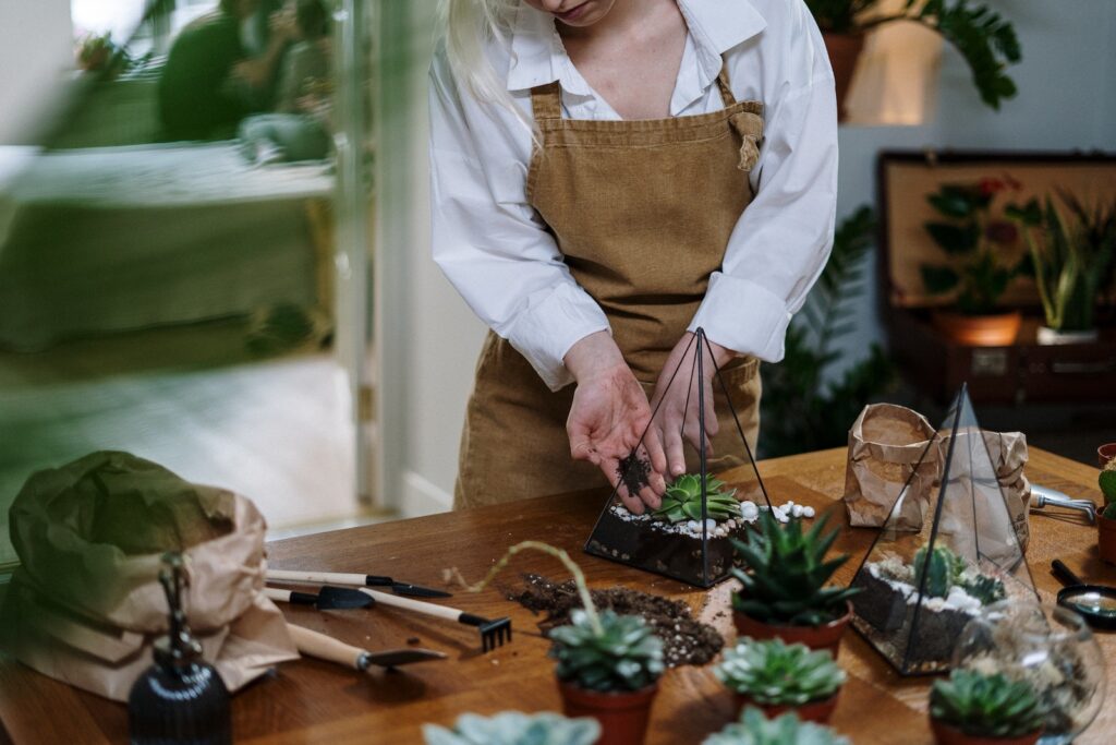 succulents in classic european decor - Woman in White Apron Holding Green Vegetable