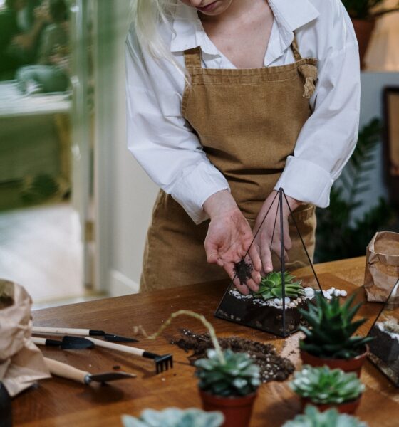 succulents in classic european decor - Woman in White Apron Holding Green Vegetable