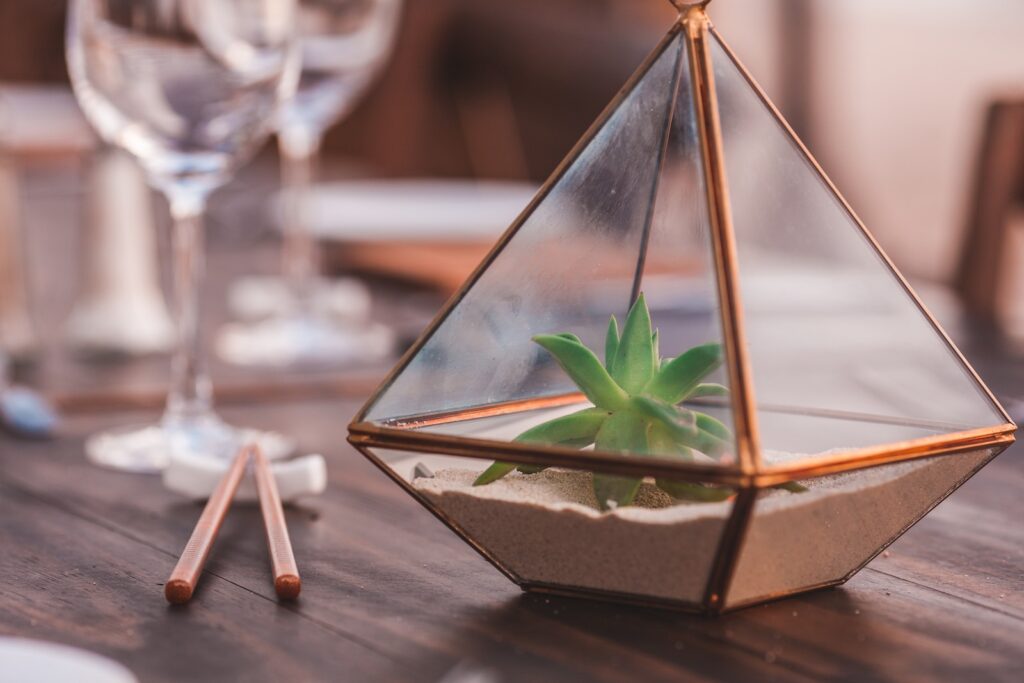 succulents in event decor - green plant inside clear glass terrarium