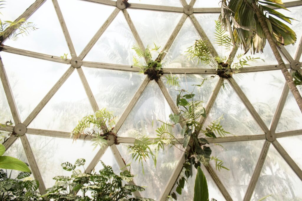 succulents in industrial spaces- green leafed plants and palm near wall