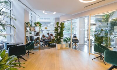 succulents in office spaces - brown wooden table with chairs