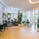 succulents in office spaces - brown wooden table with chairs