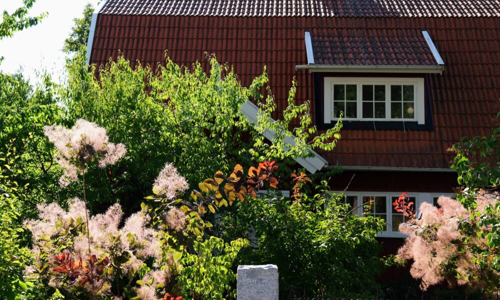 succulents in roof - a house with a red roof surrounded by trees