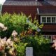 succulents in roof - a house with a red roof surrounded by trees